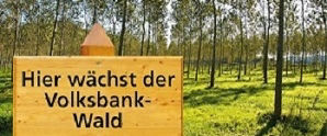 Ein hölzernes Schild, das teilweise von einem Holzpfosten verdeckt wird, steht auf einer Lichtung in einem Wald