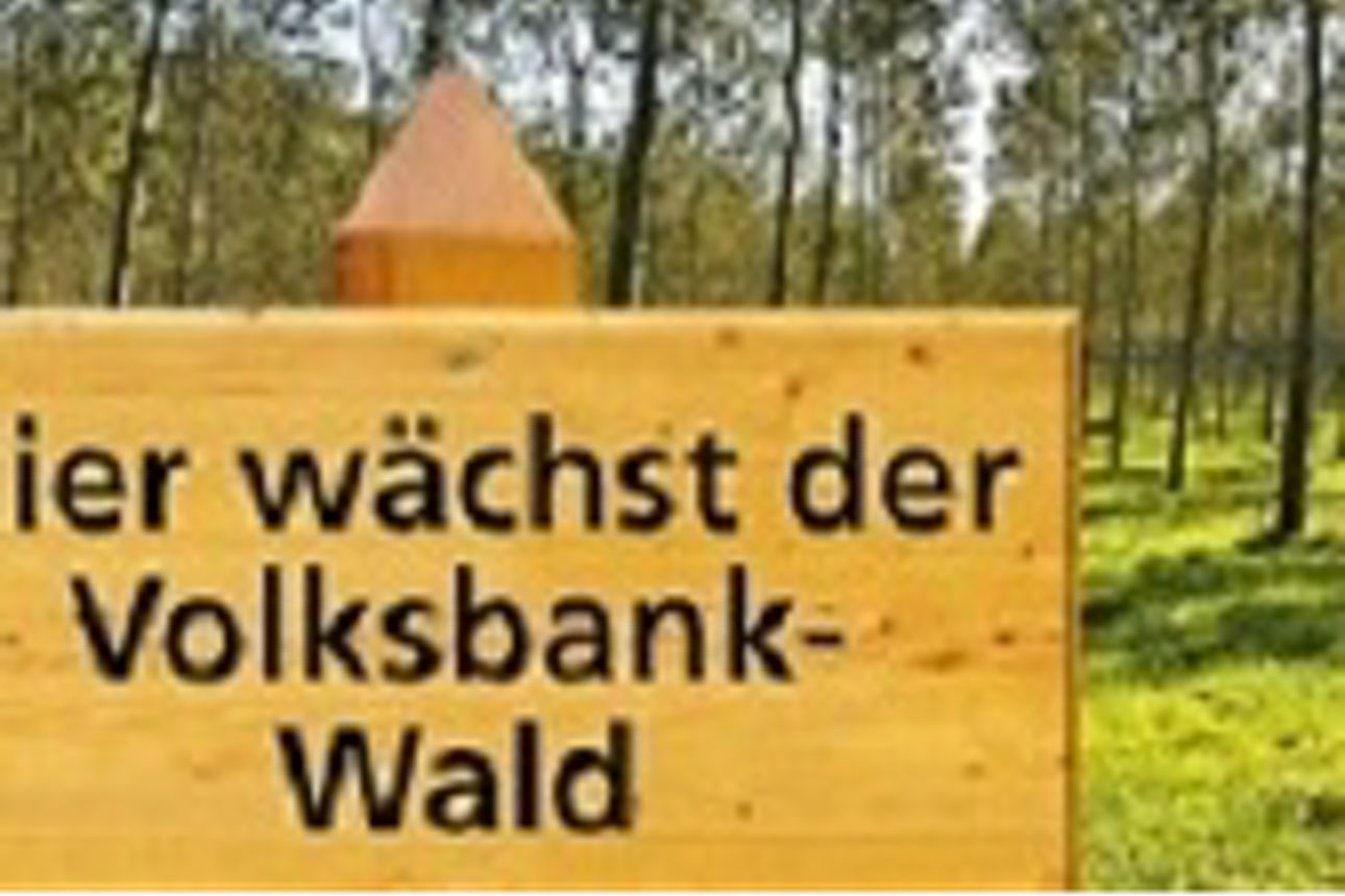 Ein hölzernes Schild, das teilweise von einem Holzpfosten verdeckt wird, steht auf einer Lichtung in einem Wald