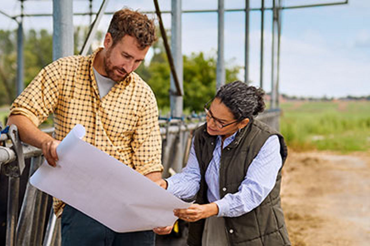 Mann und Frau auf dem Feld blicken gemeinsam auf Plan