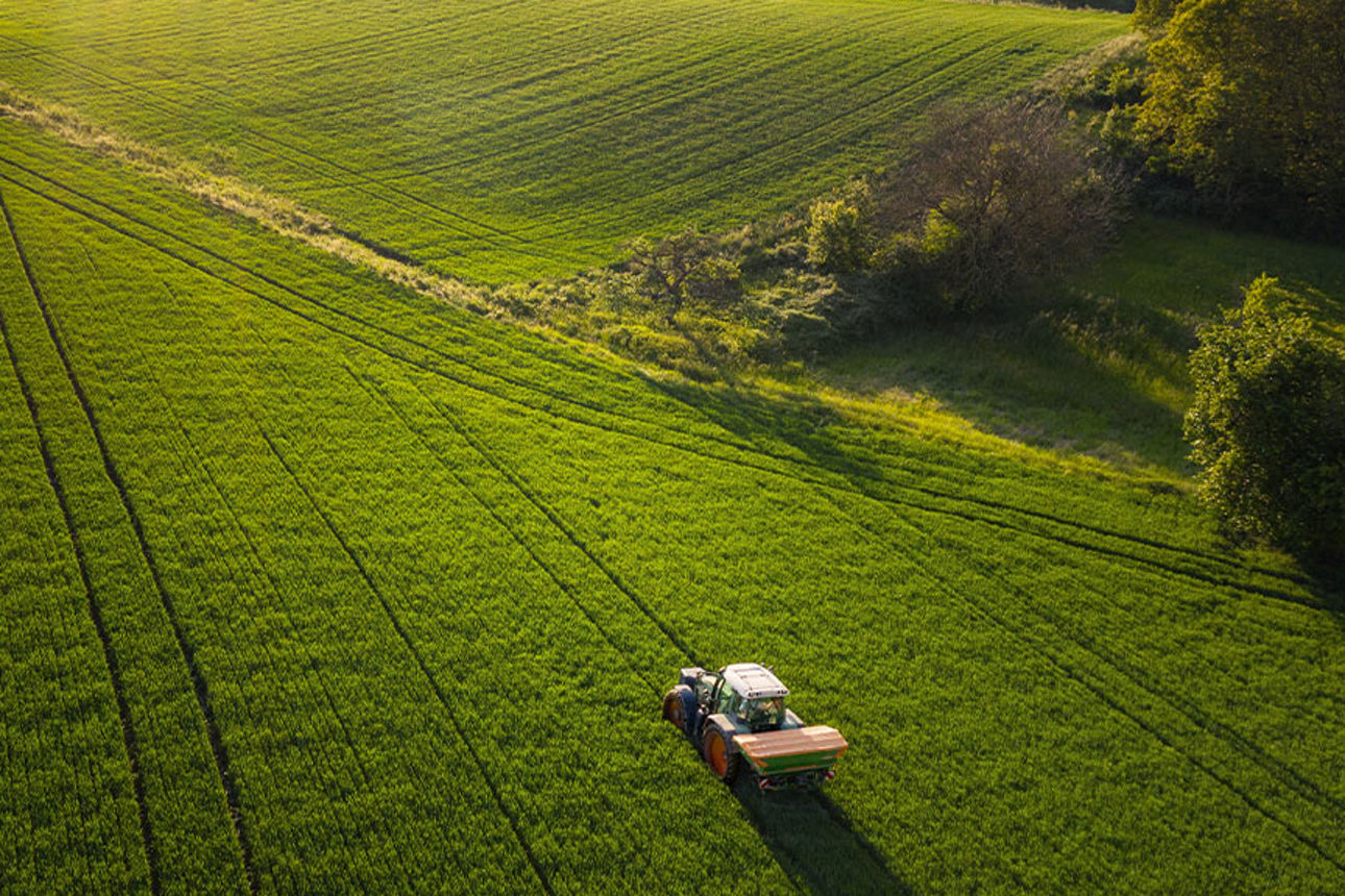 landwirtschaftlicher Fläche mit Trecker