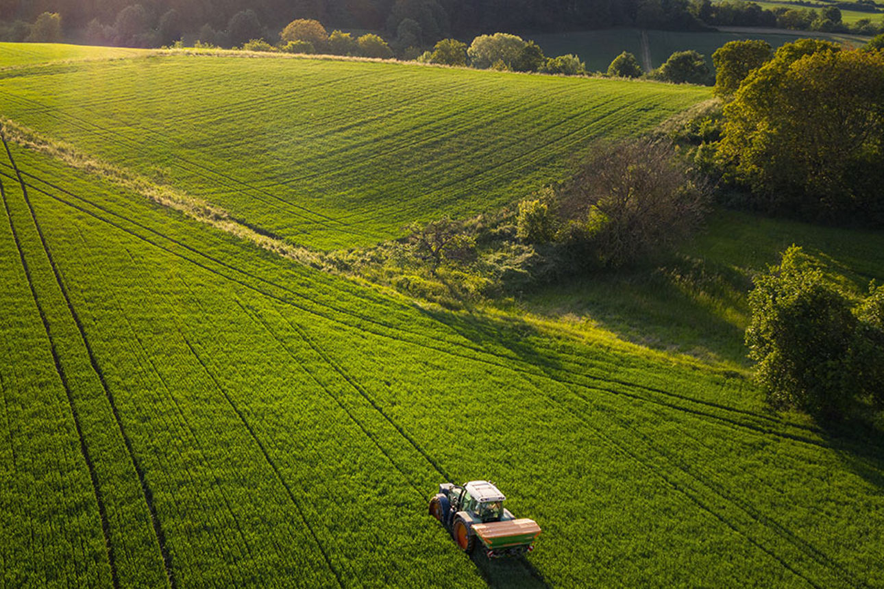 Ein Traktor fährt auf einem bepflanzten Feld.