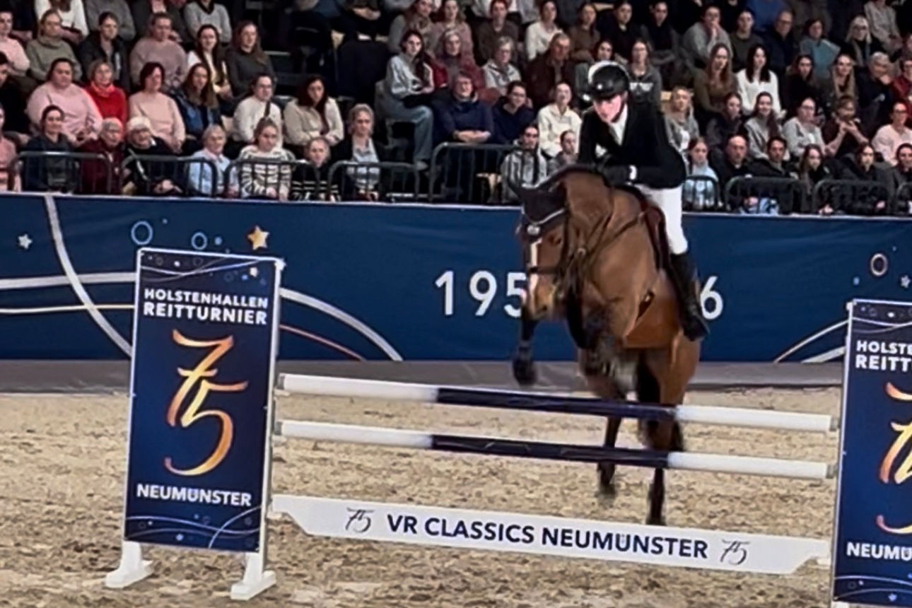 Ein Reiter springt mit seinem Pferd über ein Steil.