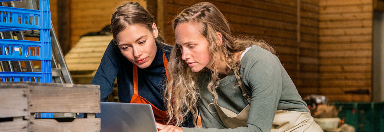 2 junge Frauen informieren sich am notebook über Online Banking