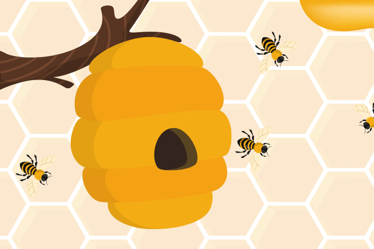 Bienen fliegen zu einem Bienennest.