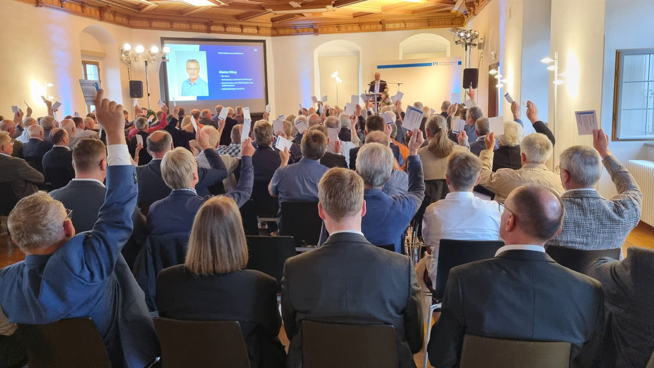 vertreterversammlung