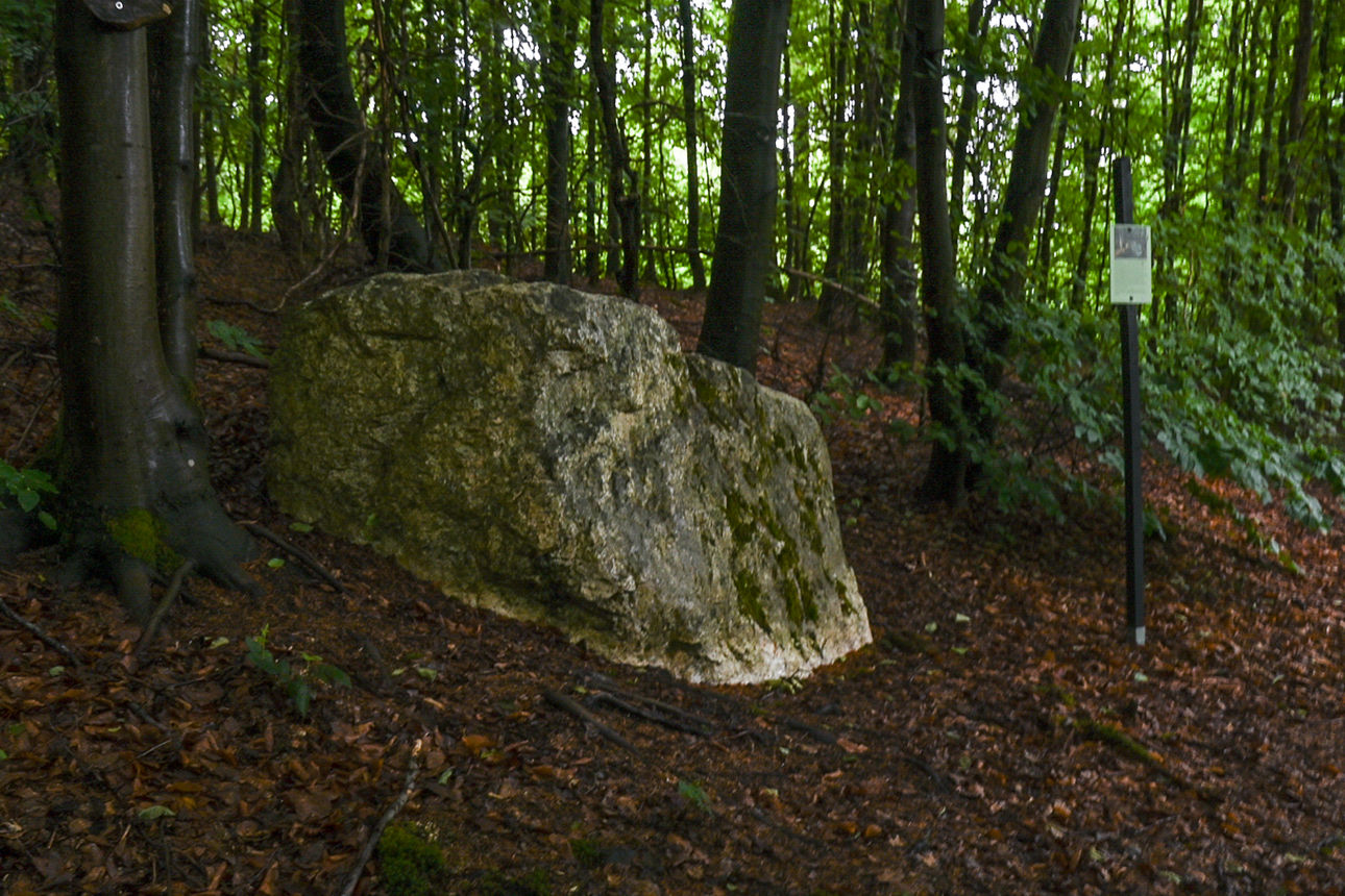 Weißer großer Findling am Wegrand im Hang zwischen mehreren Bäumen