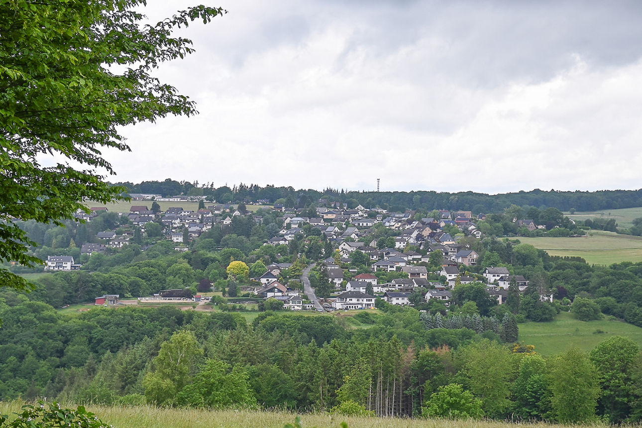 Blick an einer Baumkrone vorbei auf einen im Hang liegenden Ort. Dazwischen Wälder und Wiesen.