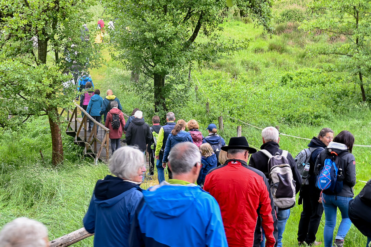 Eine Gruppe von Menschen wandert über eine kleine Brücke zwischen zwei Wiesen, gesäumt von einzelnen Bäumen