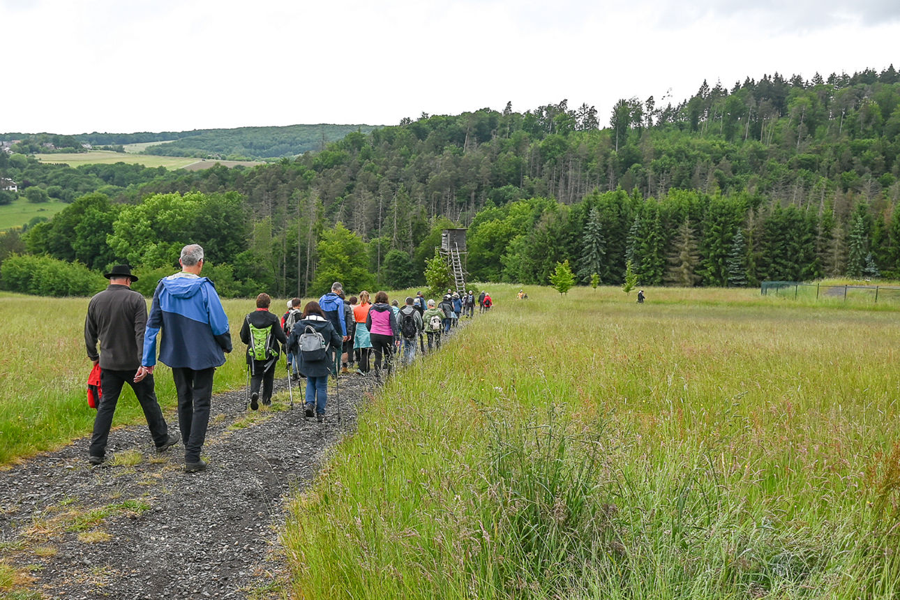 Eine Gruppe von Menschen läuft über einen Schotterweg leicht bergab zwischen zwei  Wiesen. Im Hintergrund Jägersitz und Wald