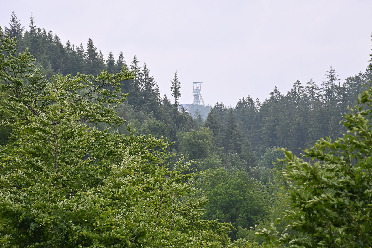 Wipfel von Laub- und Nadelbäumen bilden mittig ein V und geben den Blick auf den Förderturm in Willroth frei