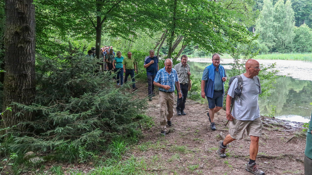 Eine Gruppe von Menschen wandert durch ein Waldstück entlang eines Weihers