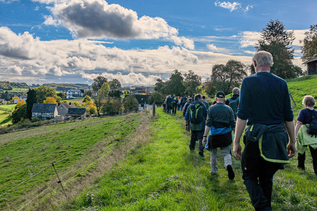 Eine große Gruppe von Leuten wandert hintereinander einen Weg zwischen Wald und Wiese entlang
