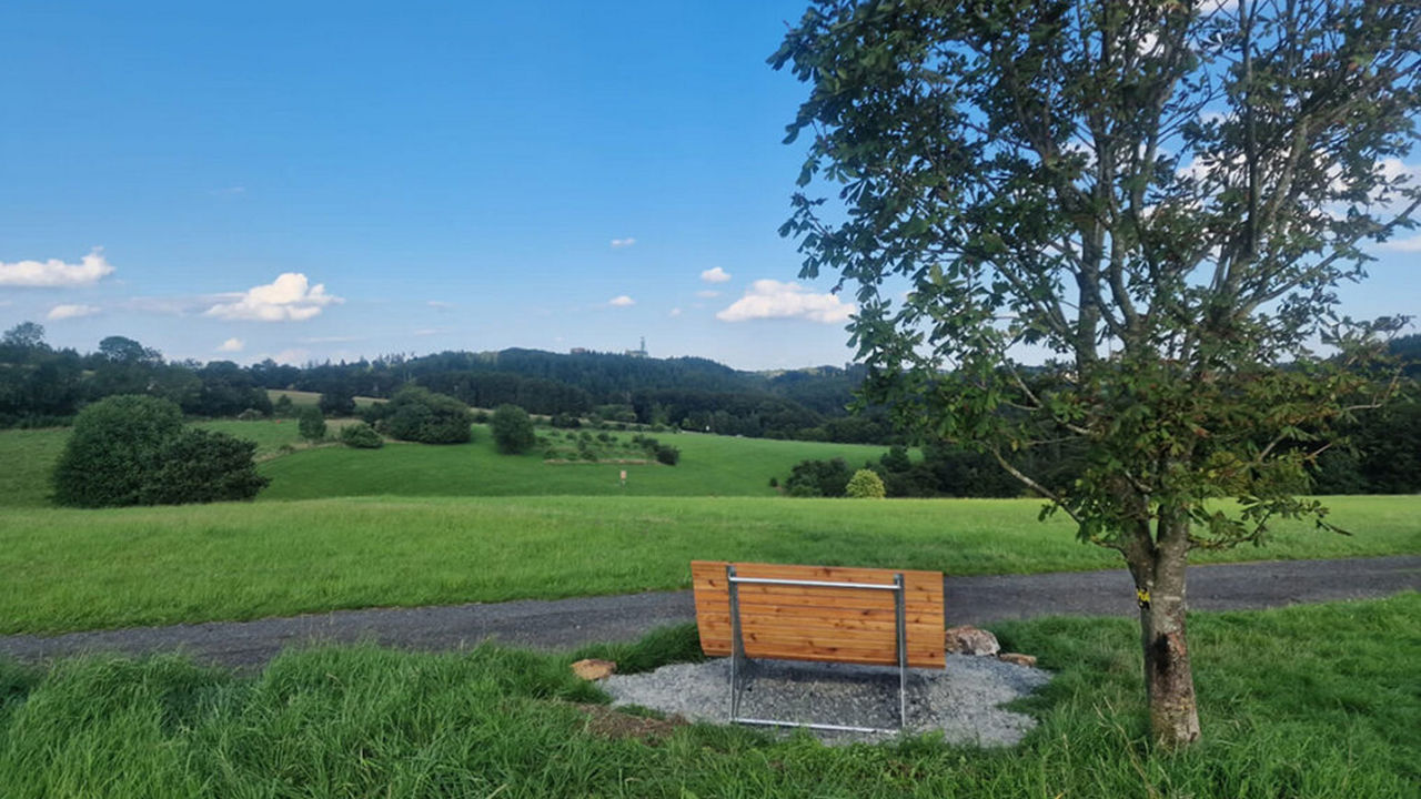 Holzbank neben einem Baum mit Ausblick über grüne Wiesen und Wälder