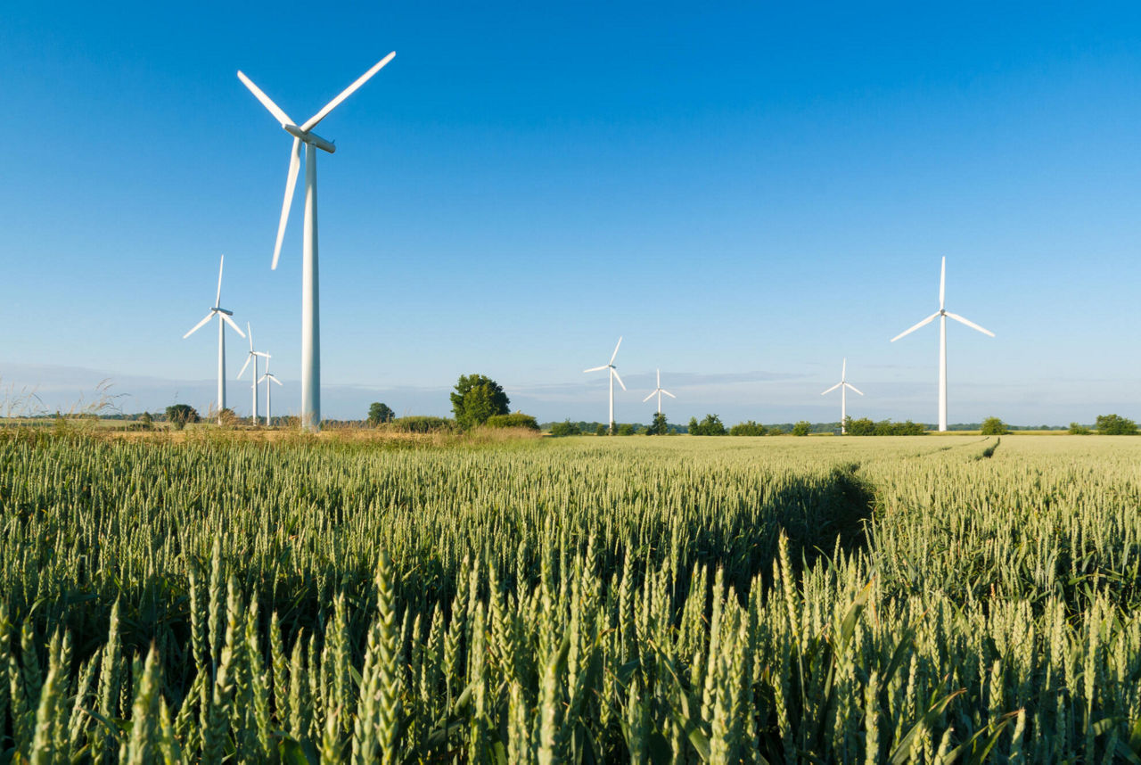 Grünes Feld mit Windrädern im Hintergrund