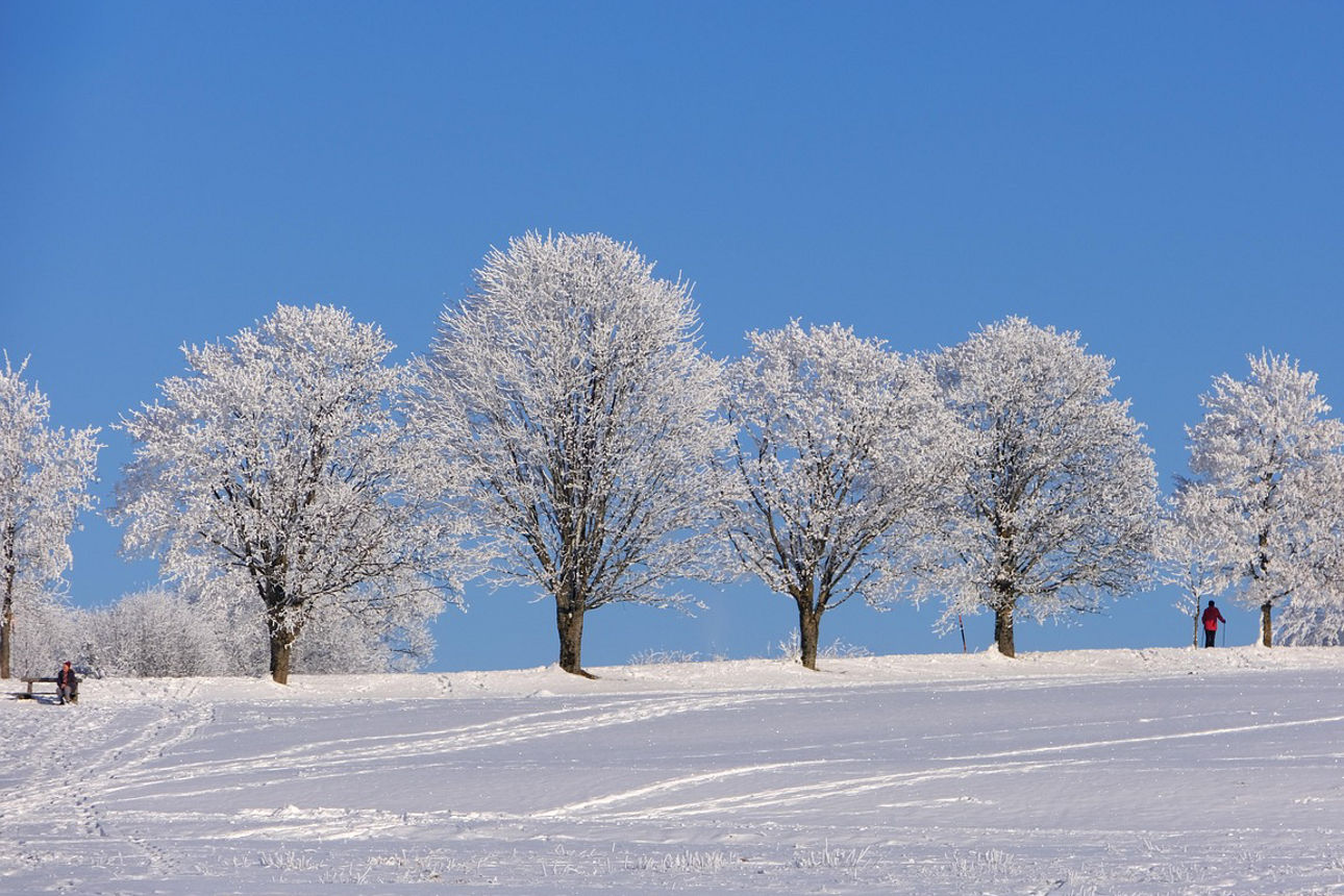 Winterlandschaft