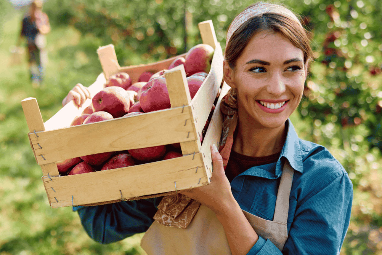 Lächelnde Frau trägt Kiste mit Äpfeln auf ihrer rechten Schulter.