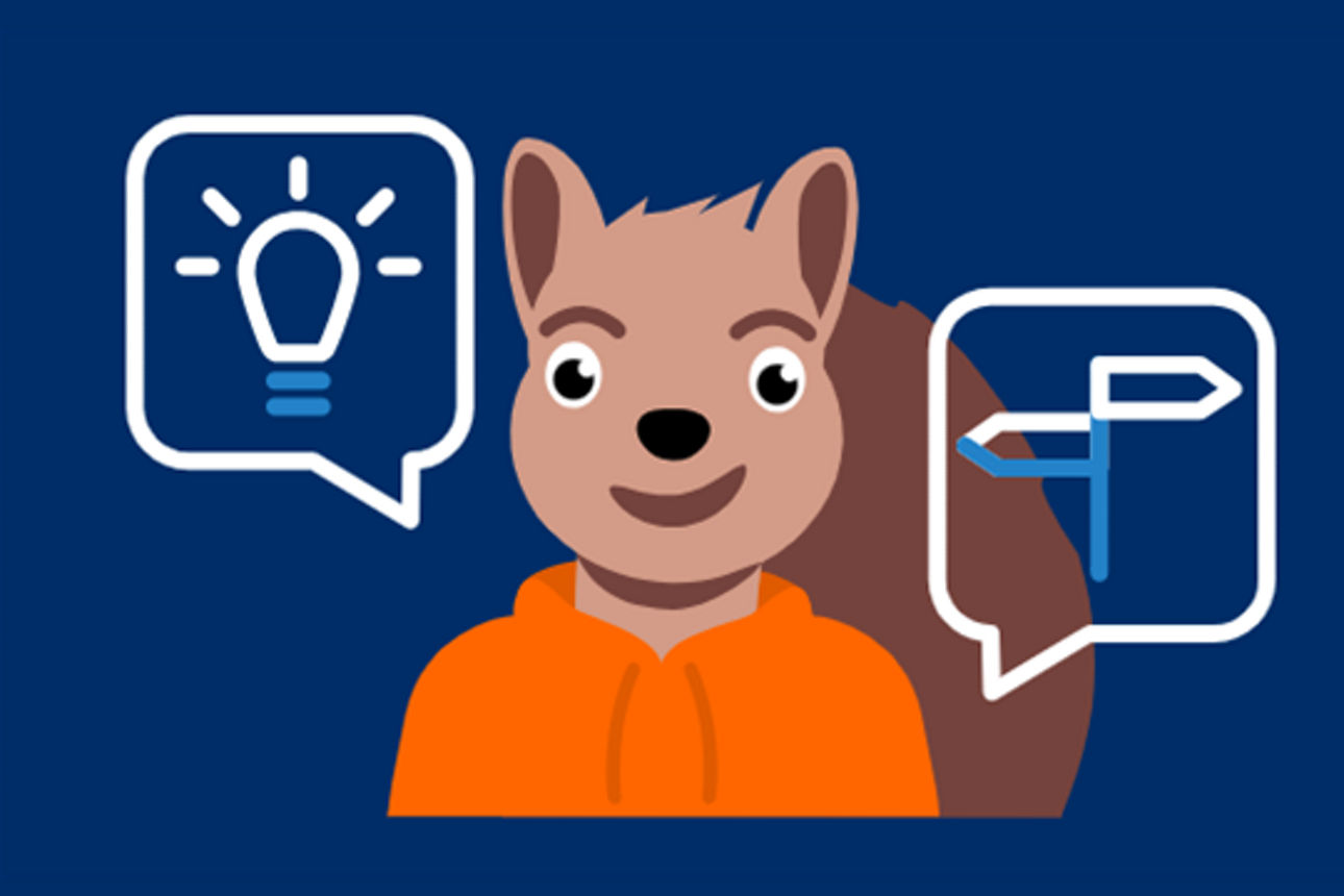 Eichhörnchen im Hoodie